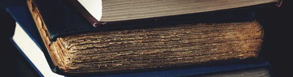 ტესტირების შვიდი პრინციპი